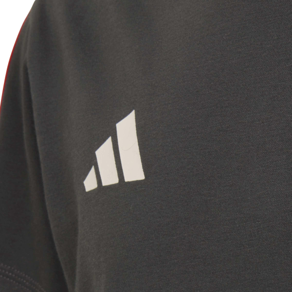 AUDI FORMULA ONE FAN T-SHIRT YOUTH.