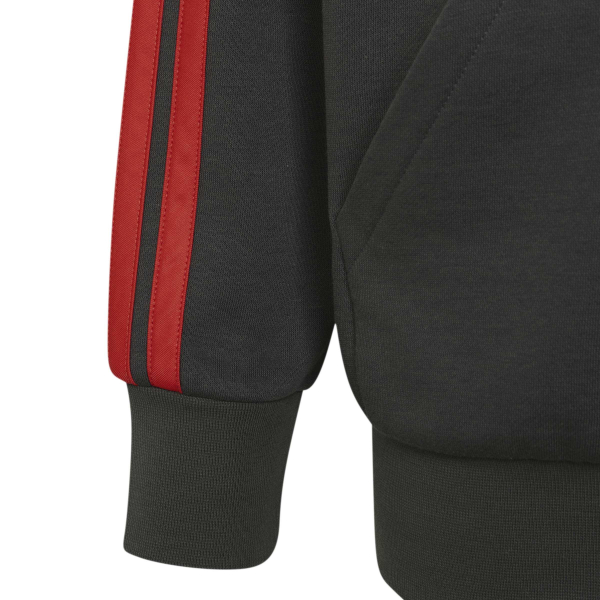 AUDI FORMULA ONE FAN FULL ZIP HOODIE YOUTH